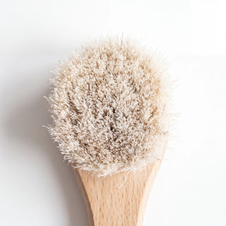 Bristle head of the natural bristle dry face brush, cream colored 2 cm bristles, white background - VivaMaison